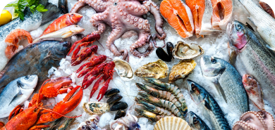 food traceability, food supply chain, blockchain traceability, agriculture traceability software