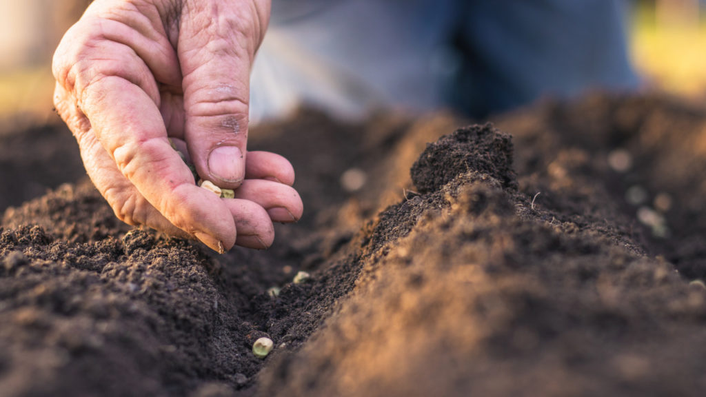 food traceability, food supply chain, blockchain traceability, traceability in agriculture