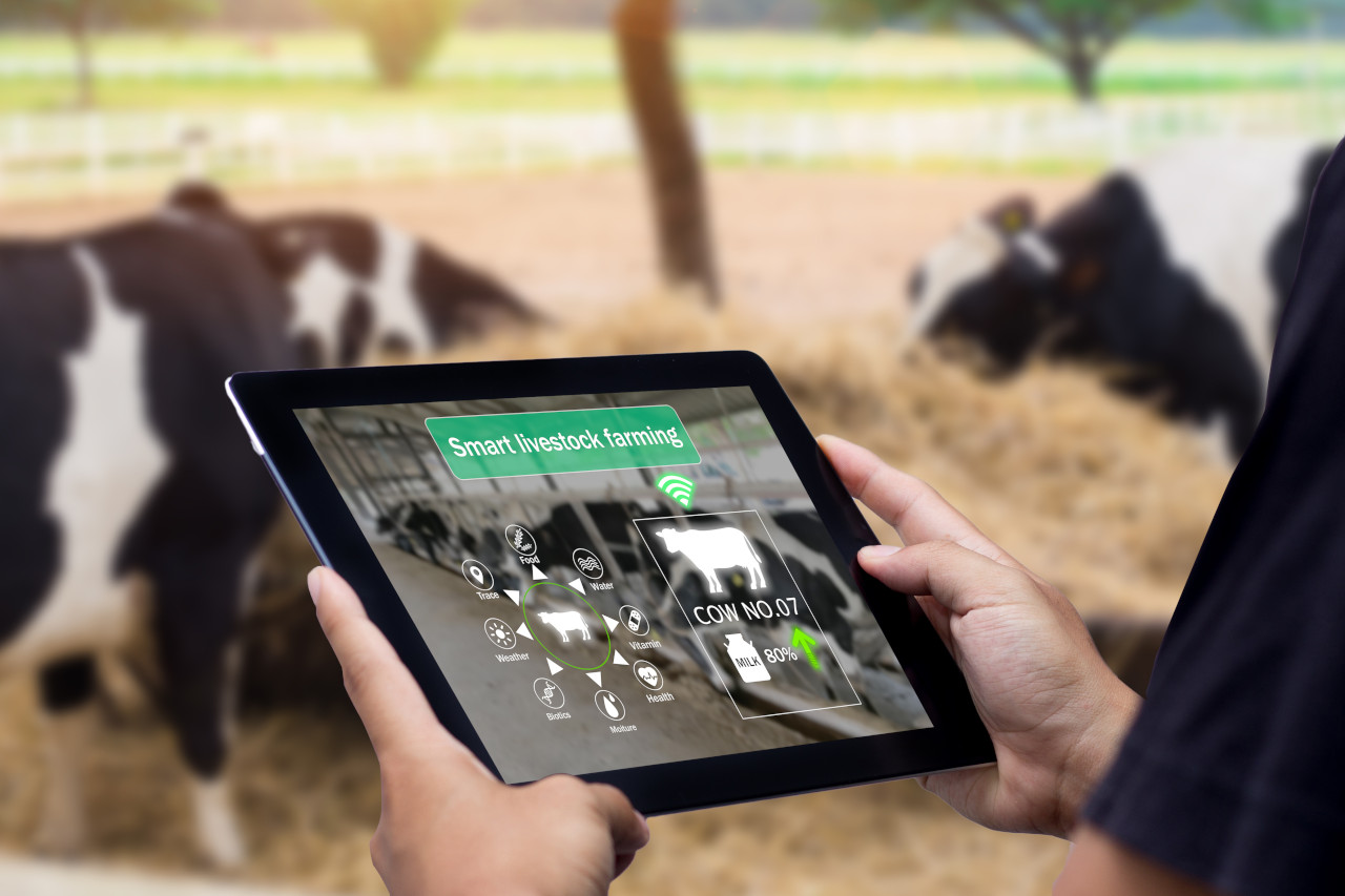 food traceability, food supply chain, food traceability solution, food traceability software