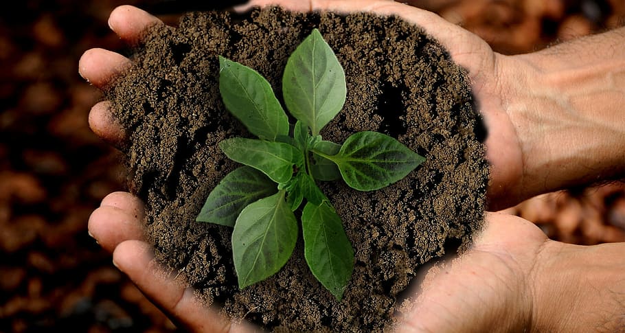 food traceability, food supply chain