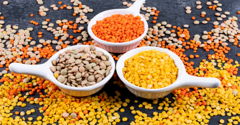 Traceability in Pulse Value Chains, pulse traceability, pulse supply chain, pulse value chain, pulse value chain traceability, food traceability, food supply chain