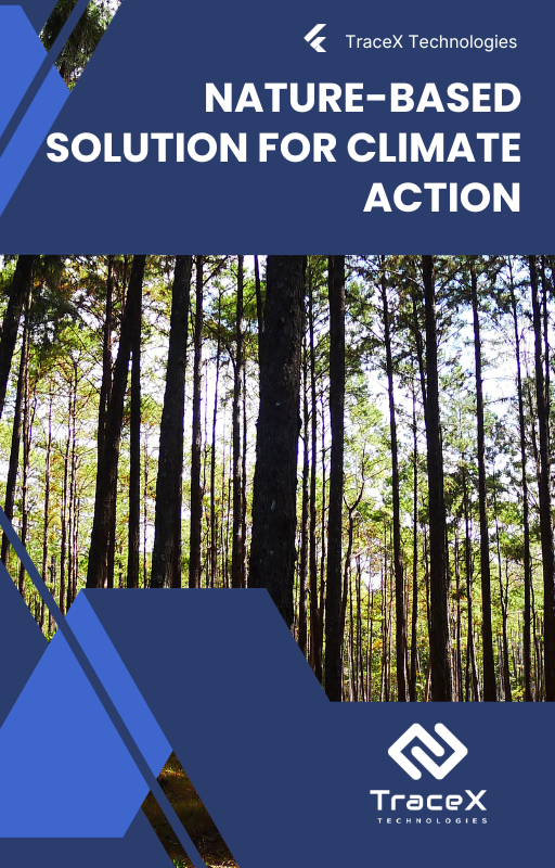 nature based solution, nature based solution for climate action, nature based solution for climate change