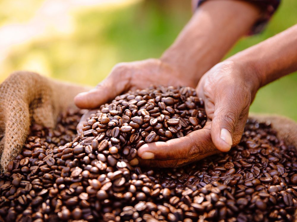 eudr solutions for supplier, eudr solution for producers, eudr solution, eudr compliance, eudr regulations