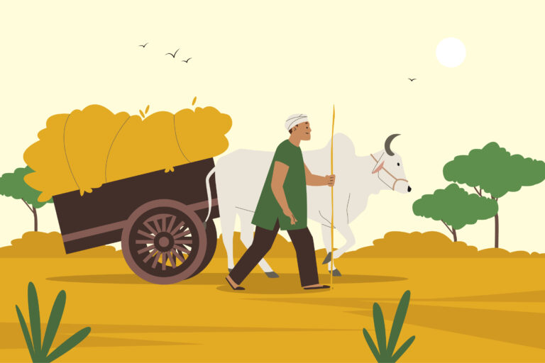 fair price for farmers, Fair Pricing for Farmers, blockchain traceability, farm management, procurement solution, traceability software, food traceability