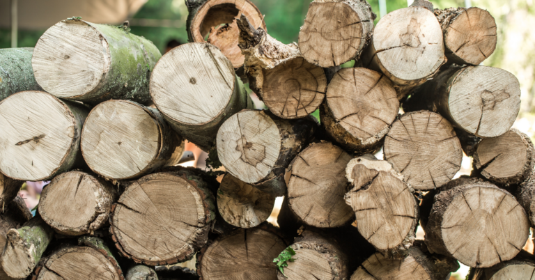 wood supply chain in italy, eudr dds, eudr wood, wood supply chain