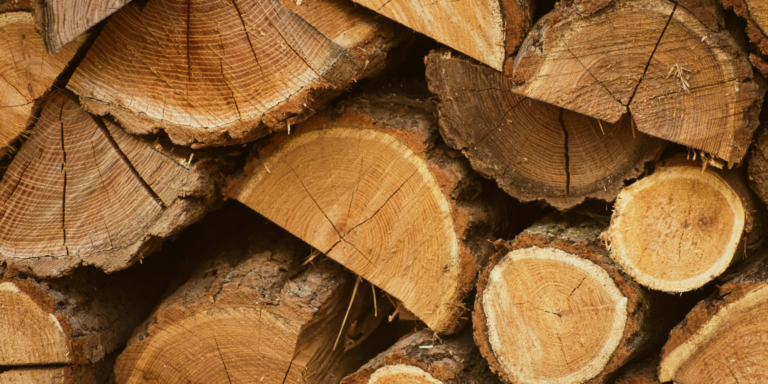 EUDR Compliance for Wood Exporters in Kenya, EUDR Compliance for Wood Exporters, Wood Exporters in Kenya, Wood Exporters, eudr compliance, eudr