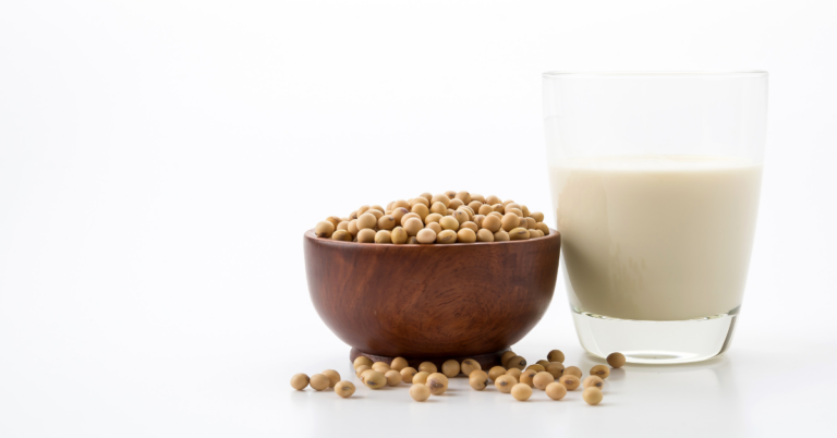 EUDR DDS for Soy Supply Chain in Spain, EUDR DDS for Soy Supply Chain, soy supply chain in spain, soy supply chain