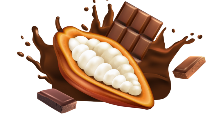 EUDR DDS for Cocoa Supply Chain in Switzerland, EUDR DDS for Cocoa Supply Chain, cocoa supply chain, eudr compliance, eudr