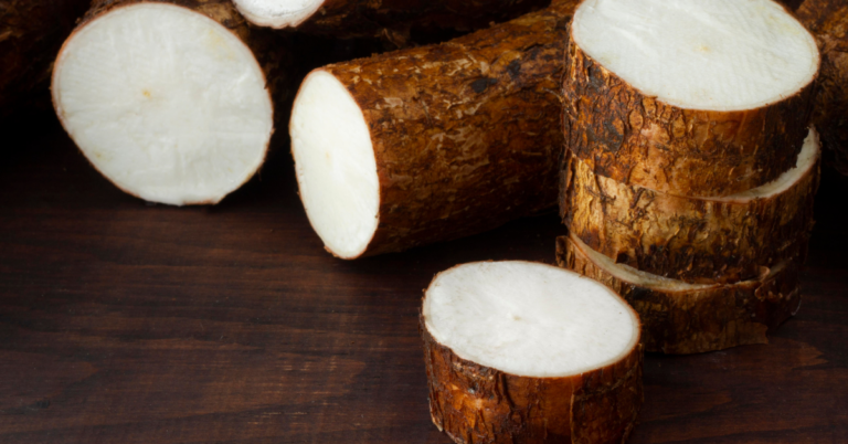 cassava supply chain in Tanzania, cassava supply chain in Traceability Tanzania , Traceability in the cassava Supply Chain