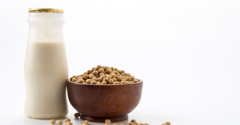 Soy Supply Chain in Tanzania , Soy Supply Chain traceability in Tanzania , Traceability in the Soy Supply Chain