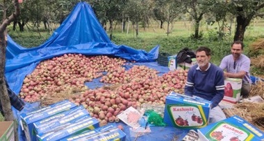 apple traceability, apply supply chain