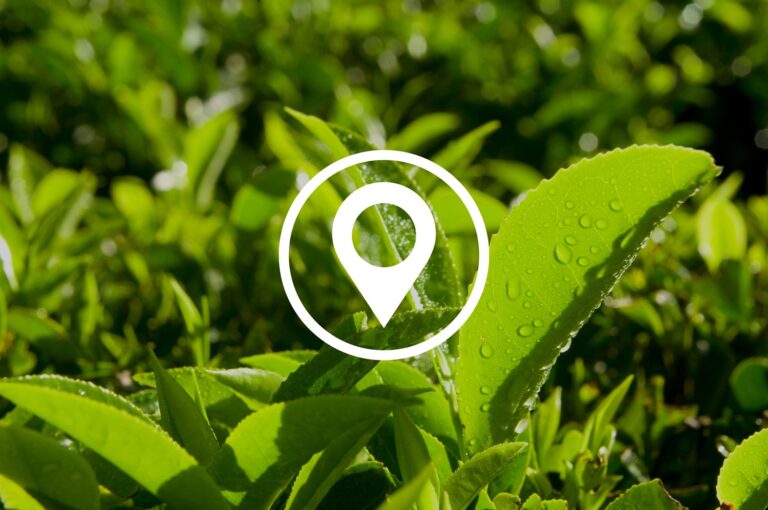 EUDR Geo Mapping, EUDR compliance