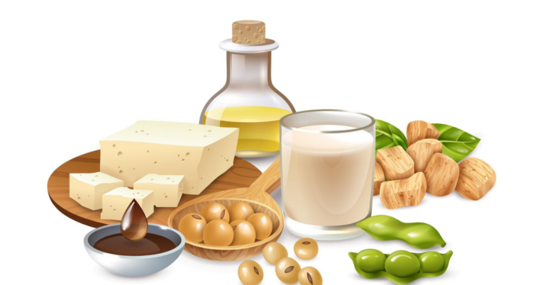 Supplier Data Collection in EUDR for the Soy Supply Chain in Netherlands 